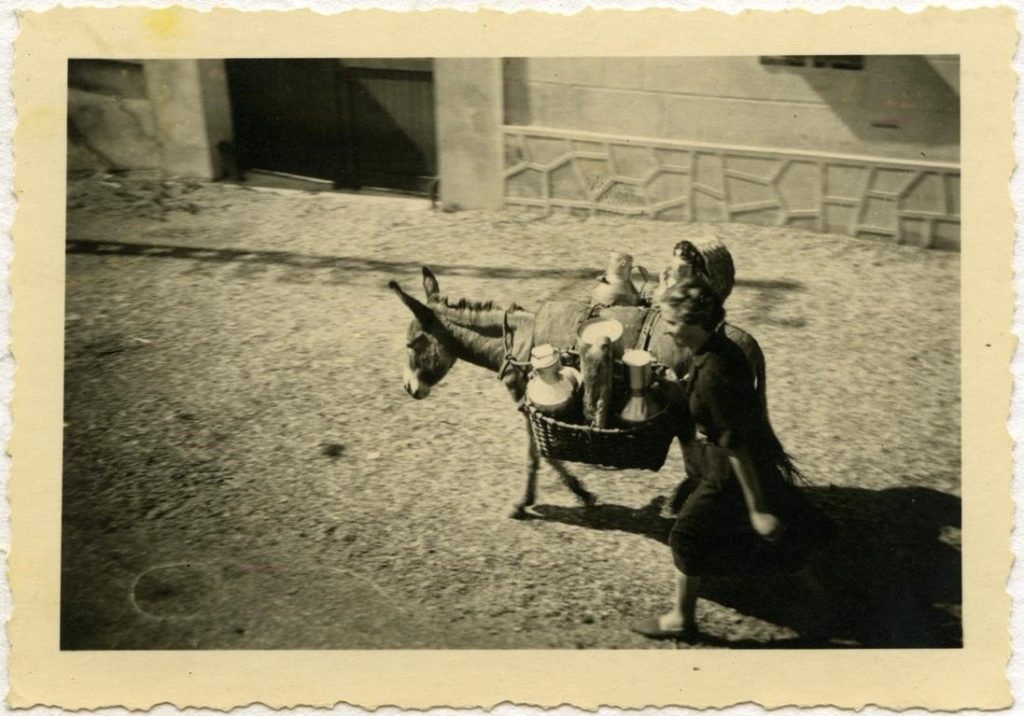 Imagen tomada desde arriba de una mujer que va con su mula, que carga los sacos de cisco junto a otras mercancías. La imagen está sacada en la calle, pues al fondo vemos la fachada de una casa.